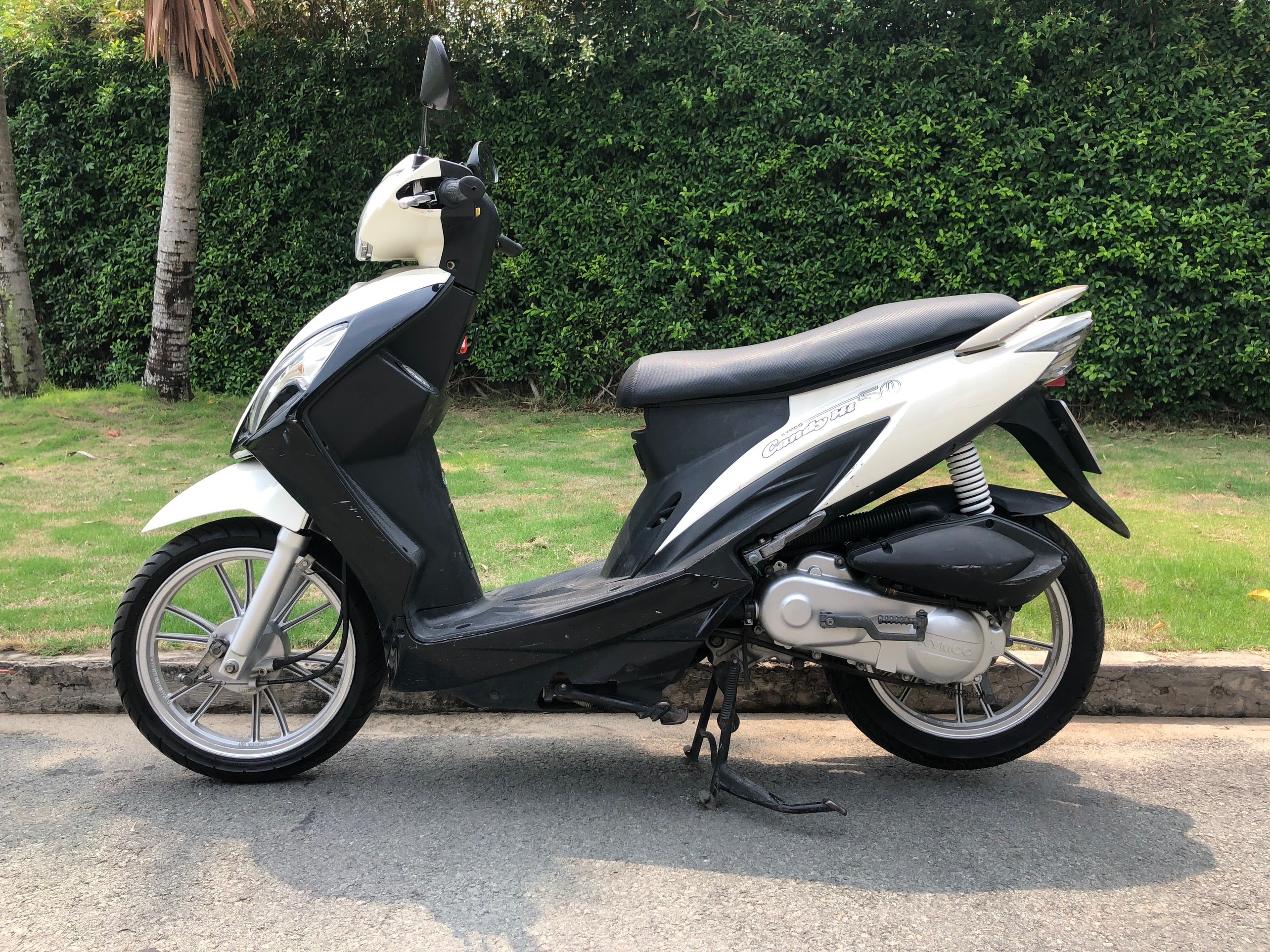 Candy - Kymco - 50cc – VietRide