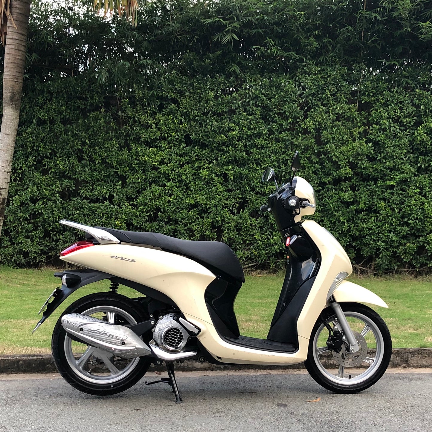 Janus - Yamaha - 125cc